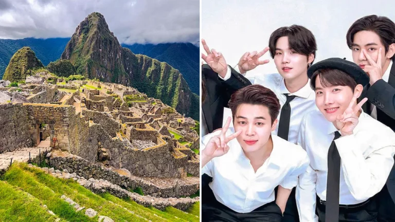 BTS fans plant trees in Machu Picchu as part of the BTS Forest initiative