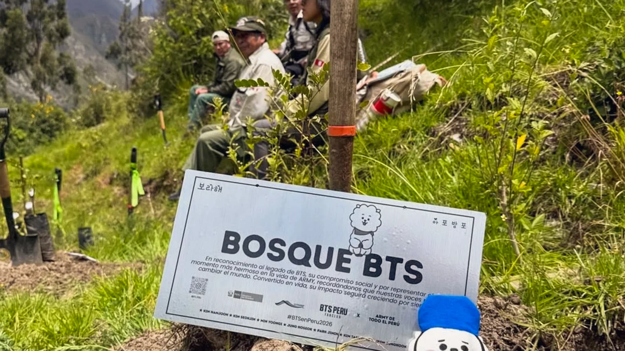 Bosque BTS en Machu Picchu