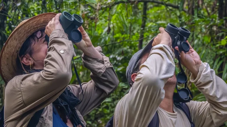 Birdwatcher records species during Global Big Day 2026