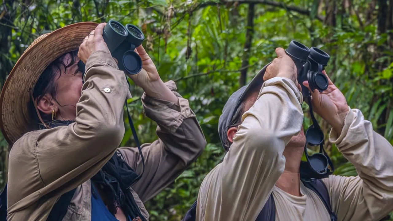 Birdwatcher records species during Global Big Day 2026