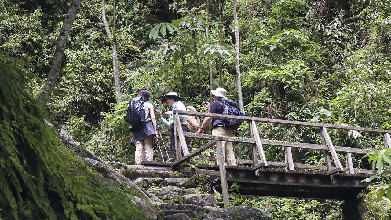 Excursionistas caminando por el Camino Inca rodeados de montañas