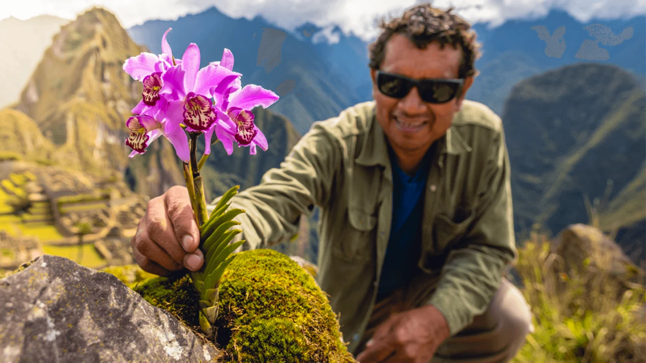 Nuevas orquídeas descubiertas en Machu Picchu y la cordillera de los Andes
