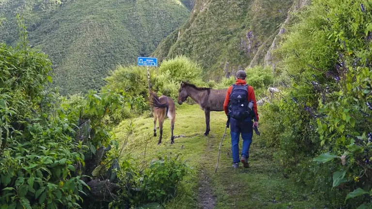 Tourists walk along the new route connecting Machu Picchu and Choquequirao